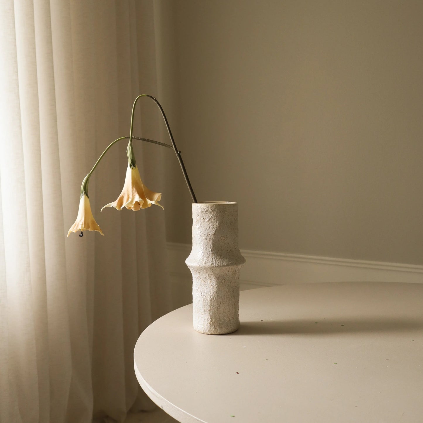 Beige Datura Stramonium Flower fra Botane