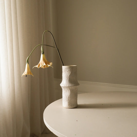 Beige Datura Stramonium Flower fra Botane