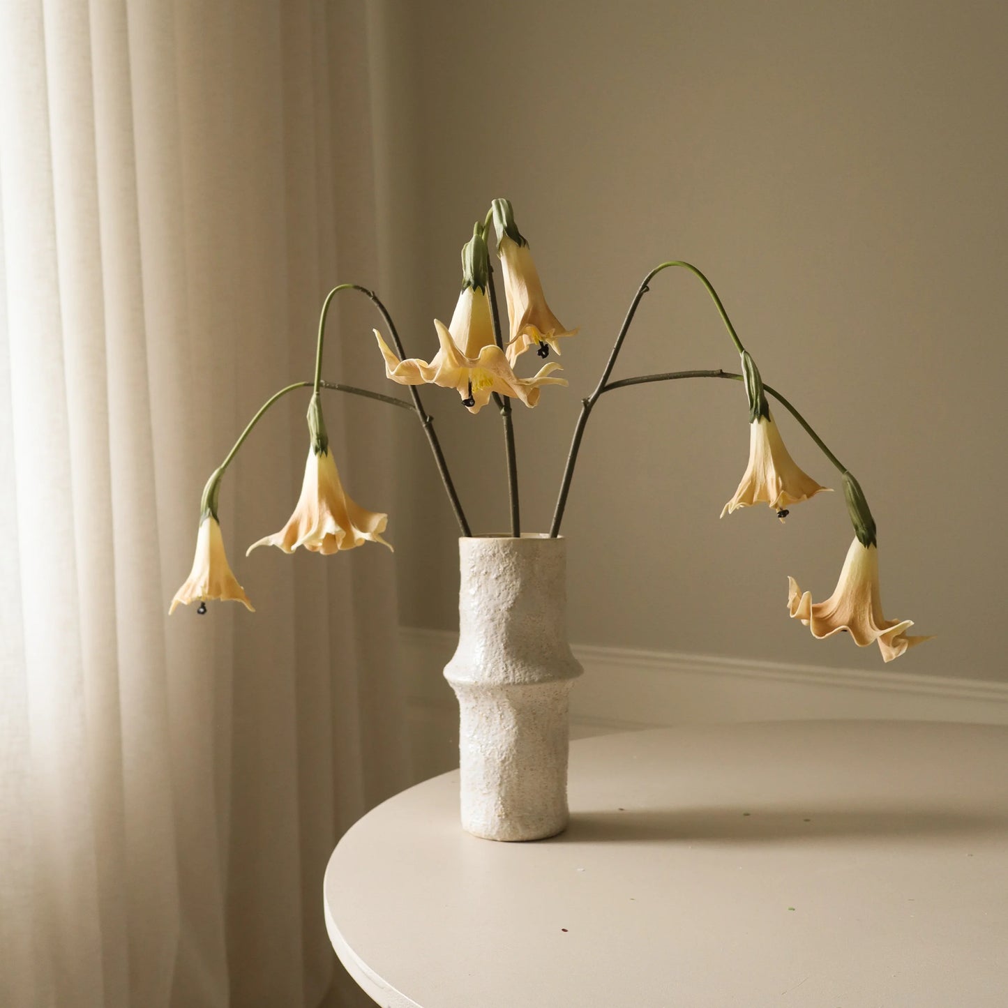 Beige Datura Stramonium Flower fra Botane