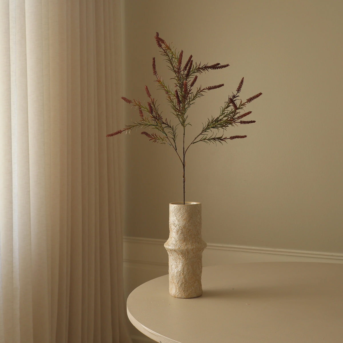 Brown Veronica Branch fra Botane
