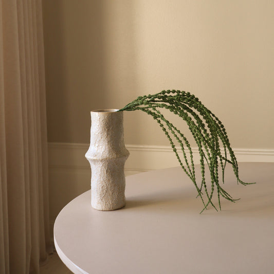 Amaranthus Caudatus "Dreadlocks" Flower – Grønn fra Botane