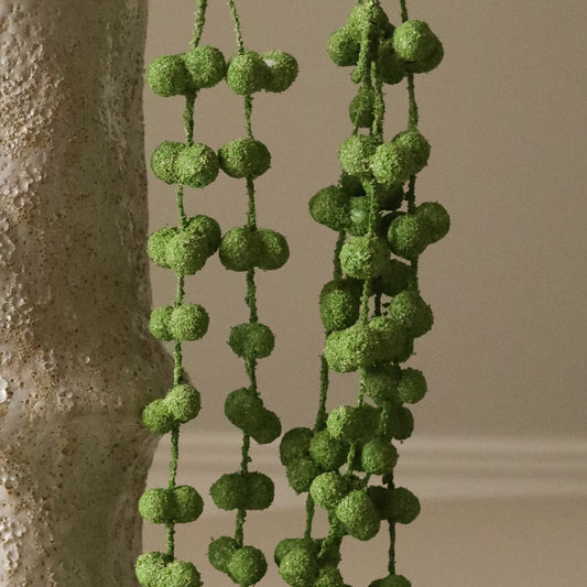 Coral Fountain Amaranthus Flower – Grønn fra Botane