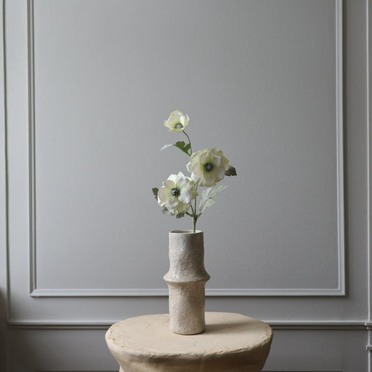 White Anemone Flower fra Botane