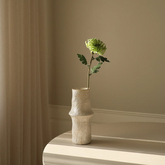 Light Green Semi-Cactus Dahlia Flower fra Botane