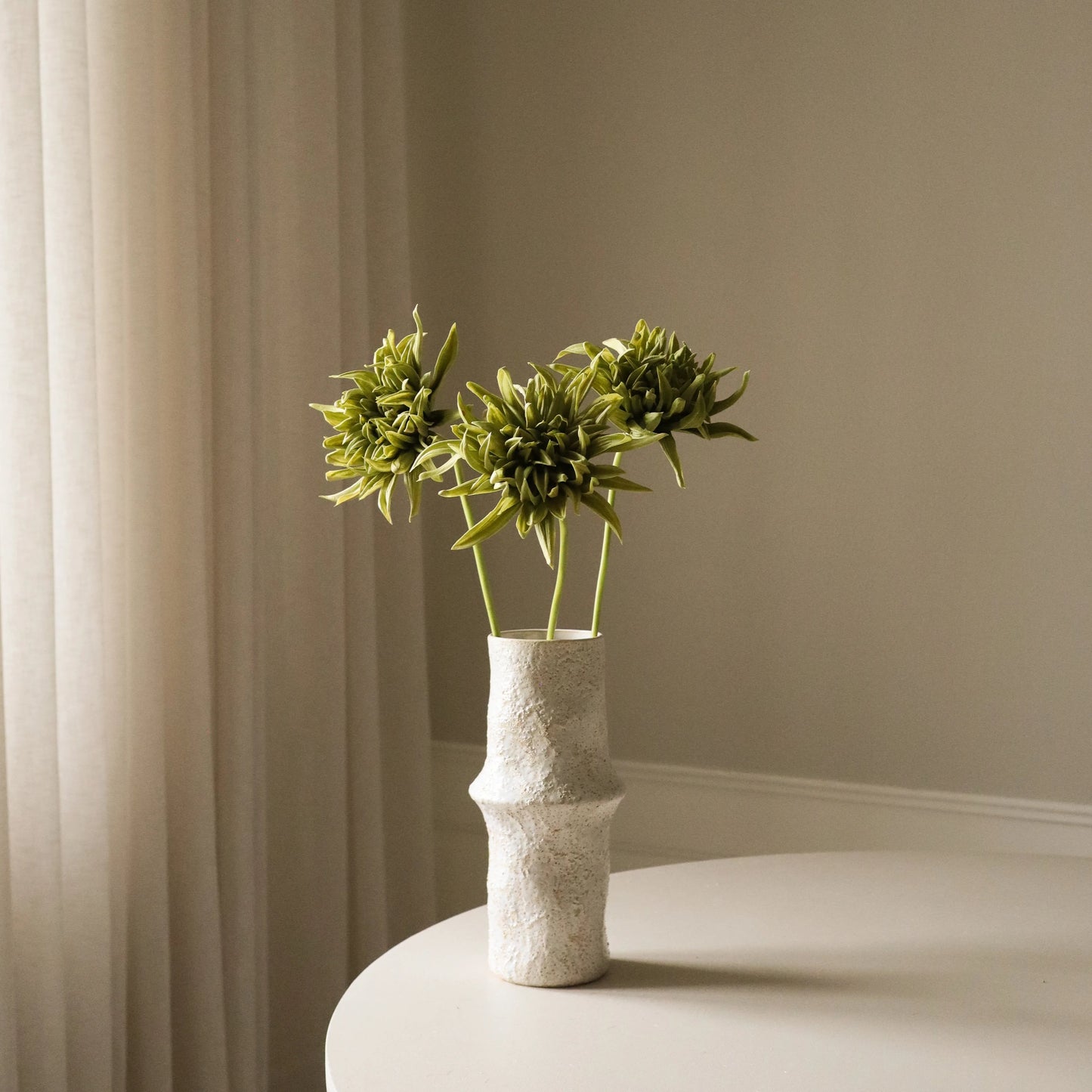 Cactus Dahlia Flower – Grønn fra Botane