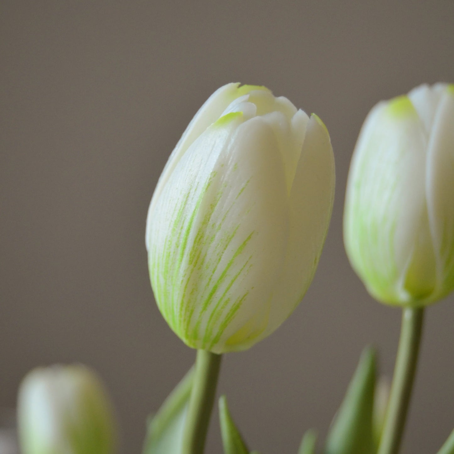 Tulip Bouquet – White fra Botane