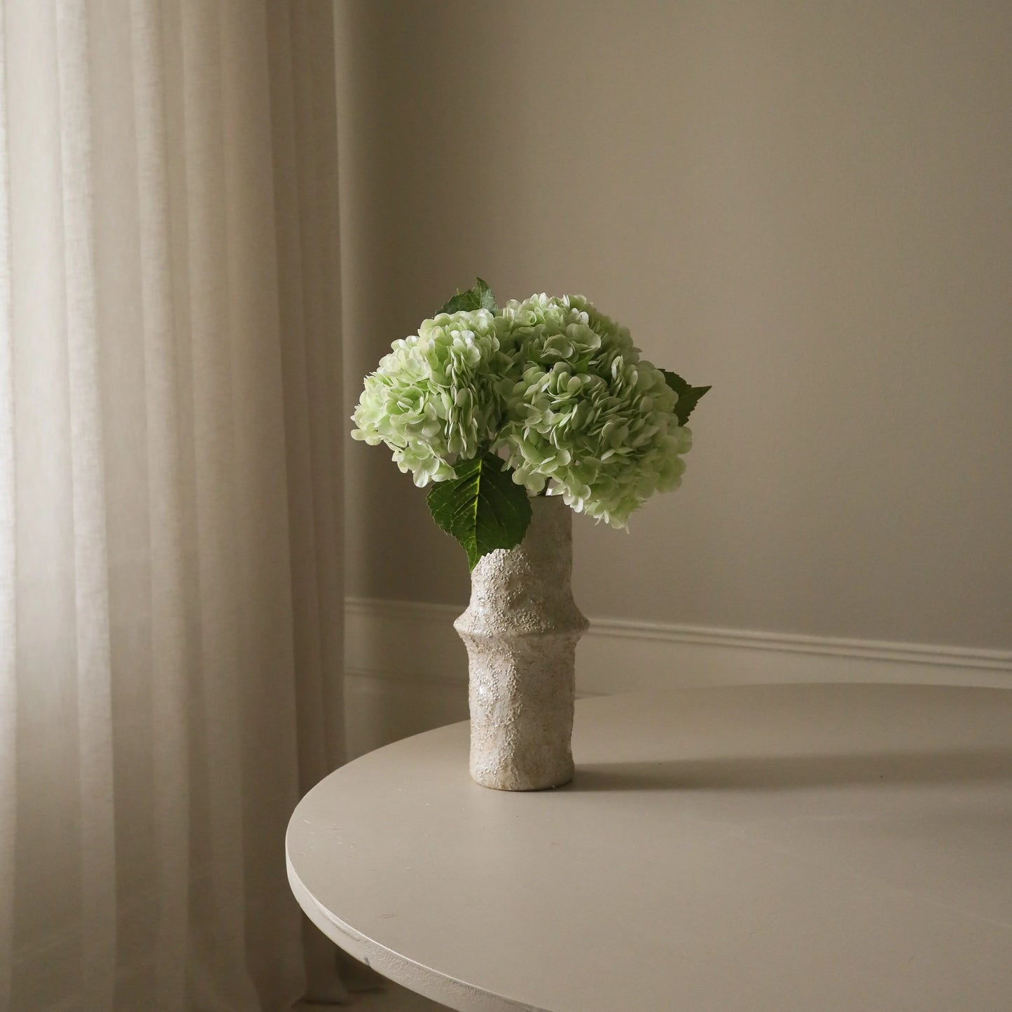 Light Green Hydrangea Flower fra Botane