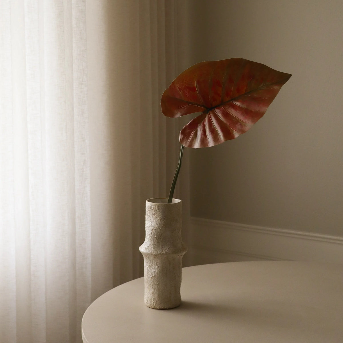 Red Alocasia Leaf fra Botane