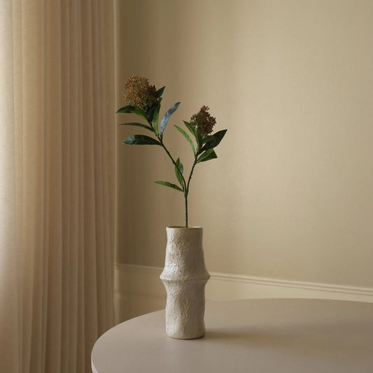 Skimmia Berry Branch fra Botane