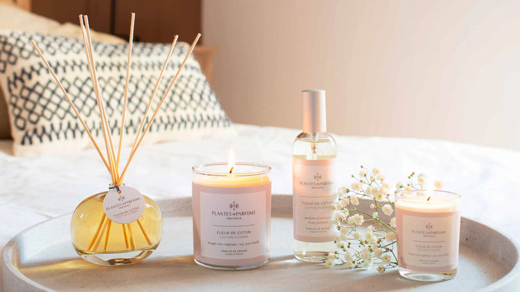 Plantes & Parfums