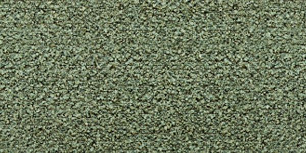 Pebble spruce