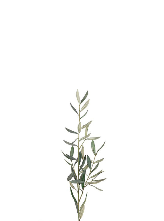 Oliven gren 50 cm