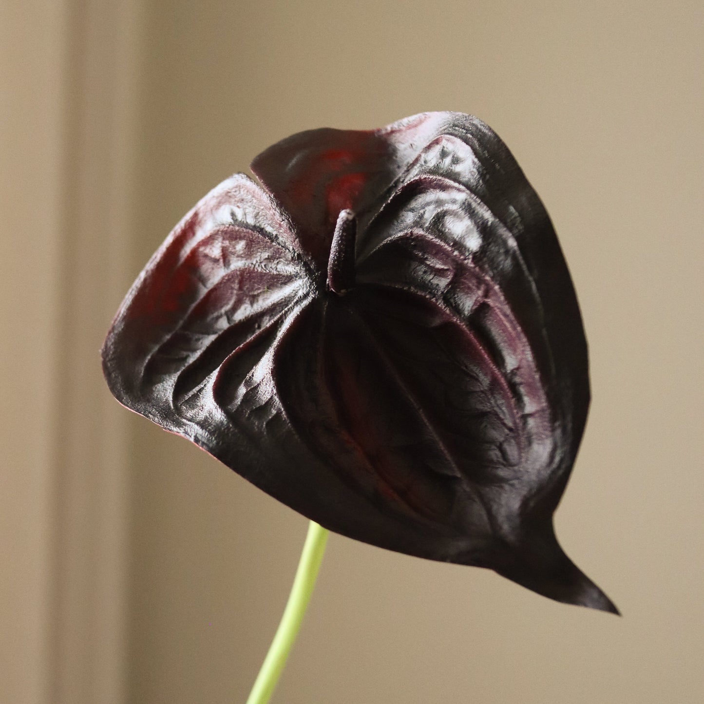 Small Anthurium Flower – Svart fra Botane