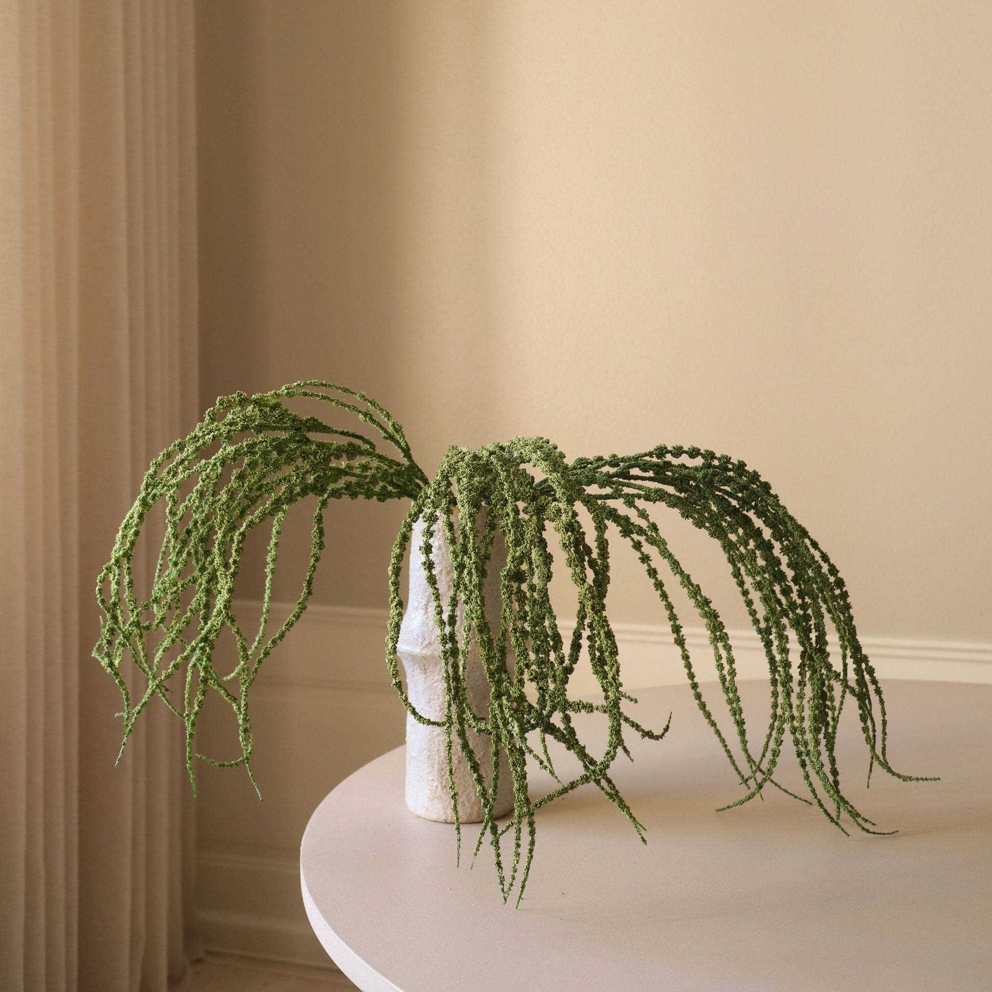Amaranthus Caudatus "Dreadlocks" Flower – Grønn