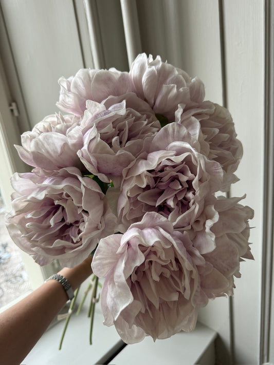 Light Purple Large Peony Flower