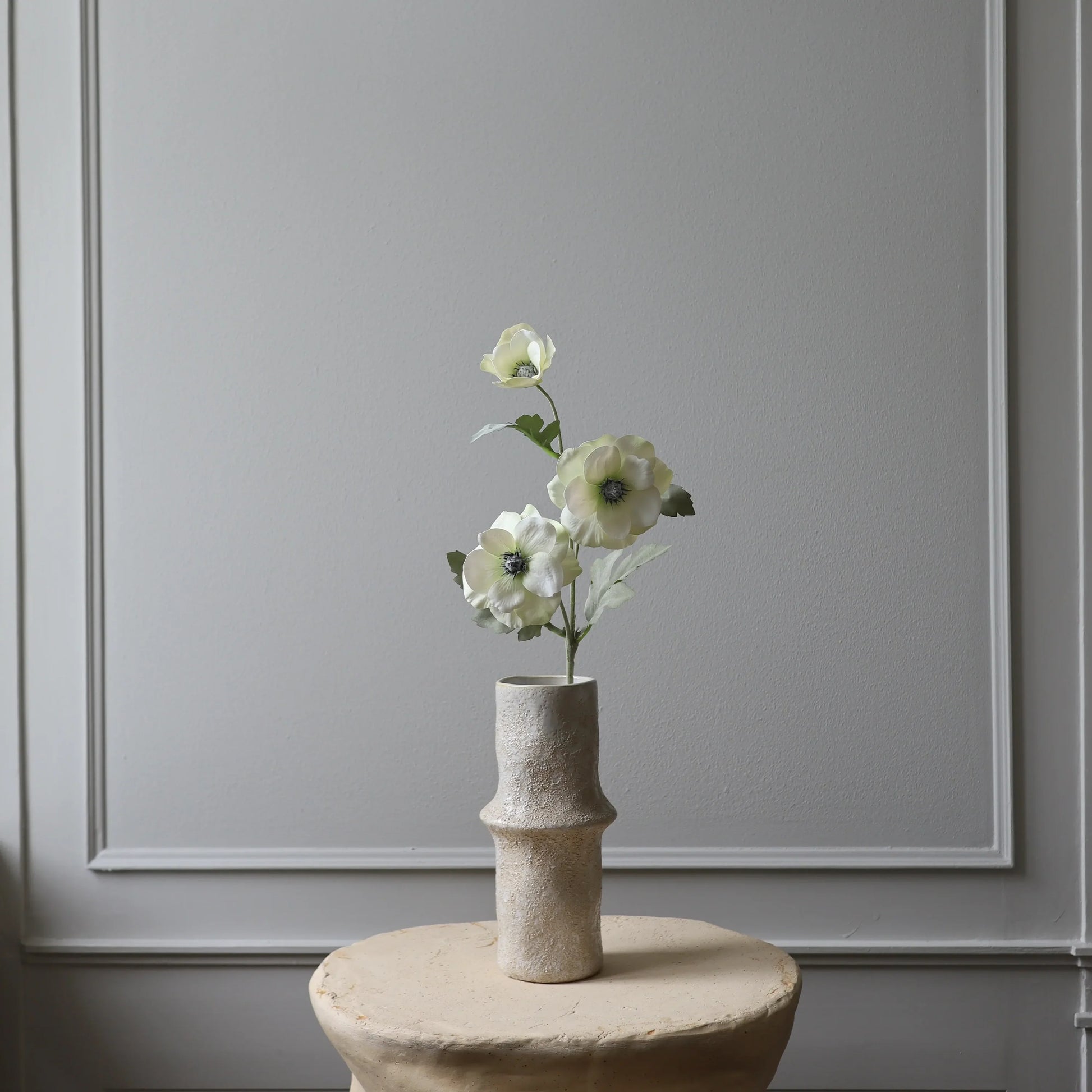 White Anemone Flower