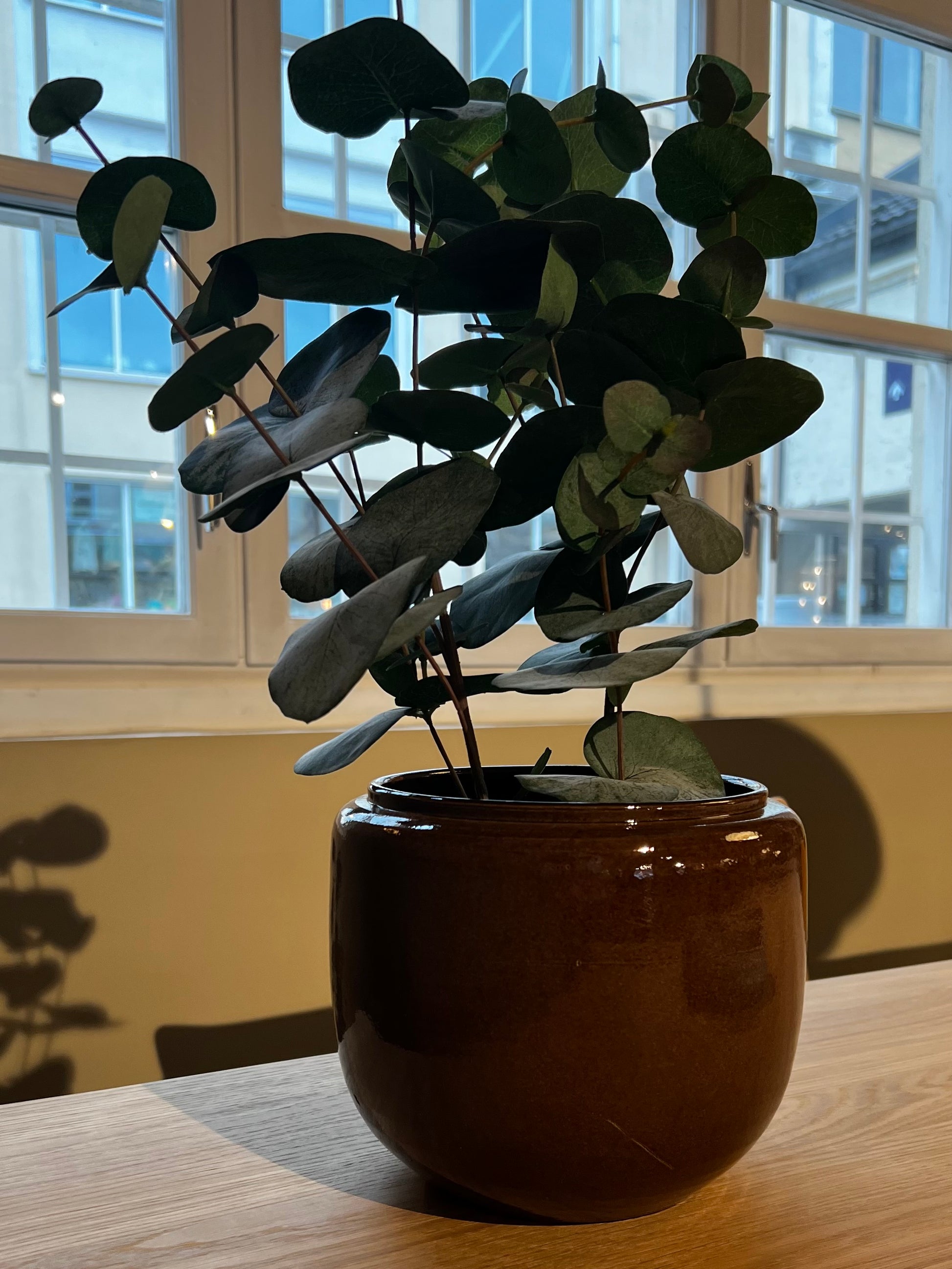 Serax Potte - Costa Brun