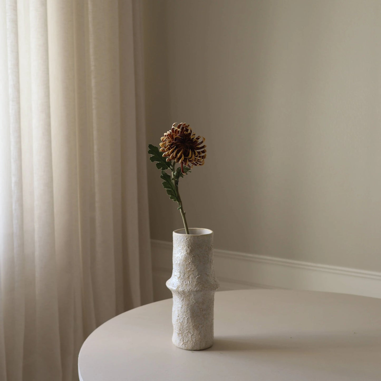 Semi-Cactus Dahlia Flower – Brun fra Botane