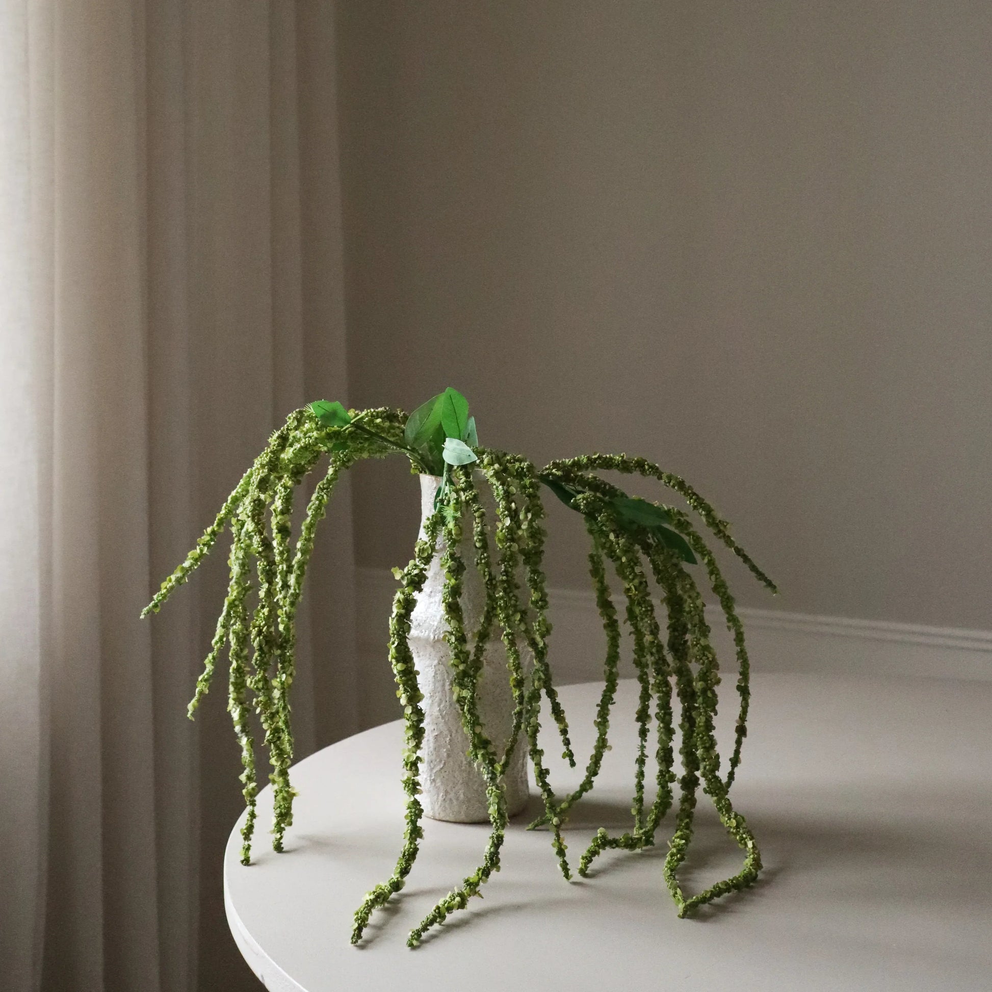 Green Amaranthus Flower