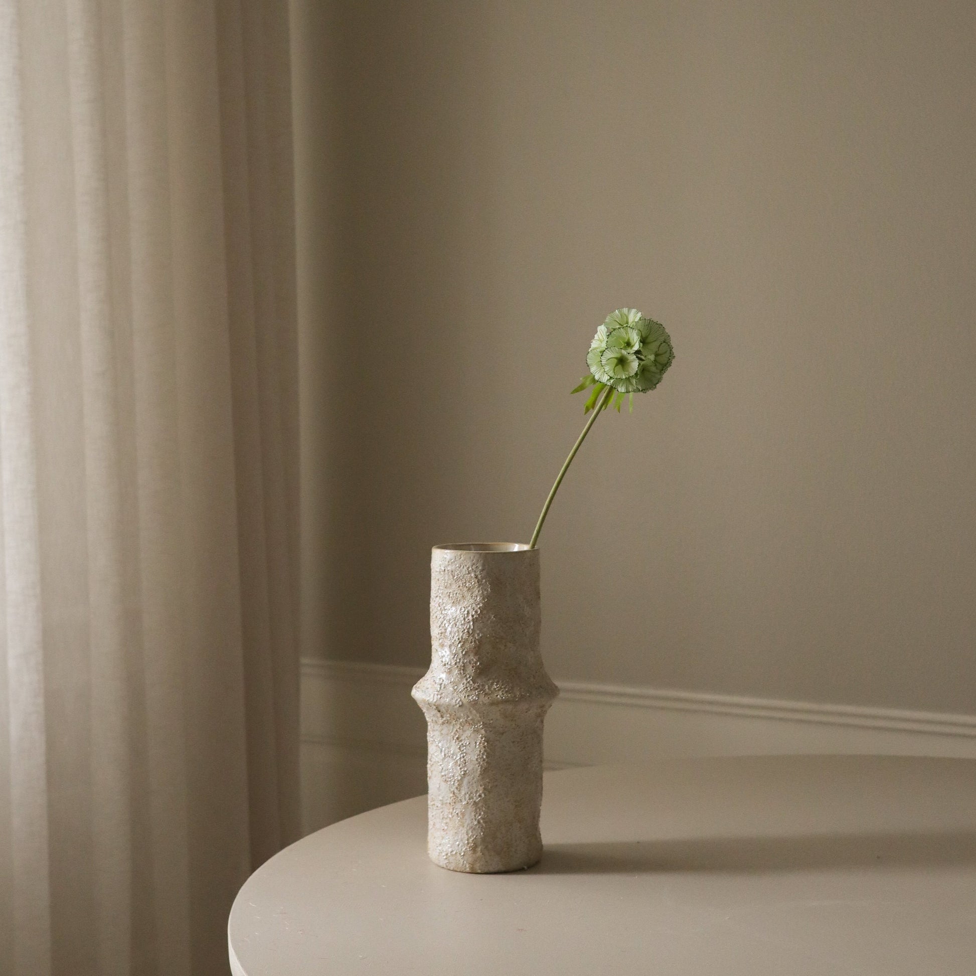 Light Green Scabiosa Seed Pod Flower