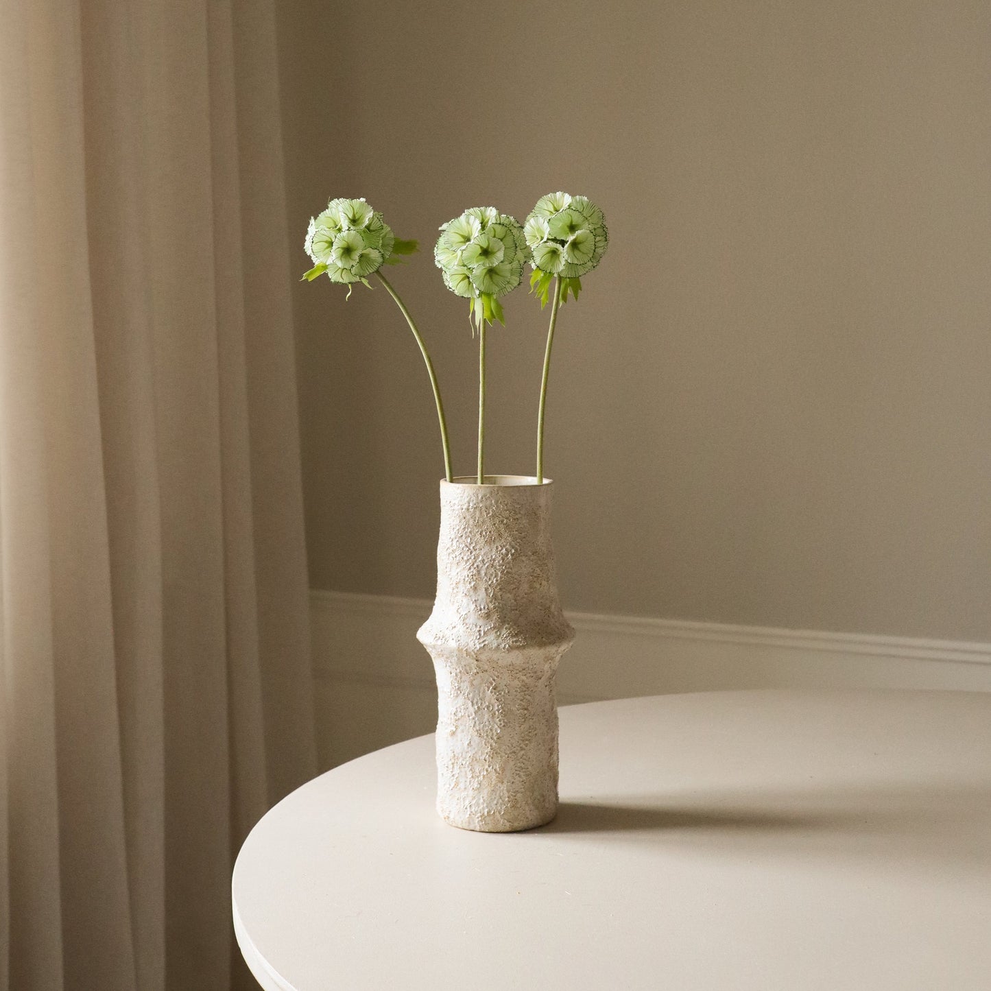 Light Green Scabiosa Seed Pod Flower fra Botane