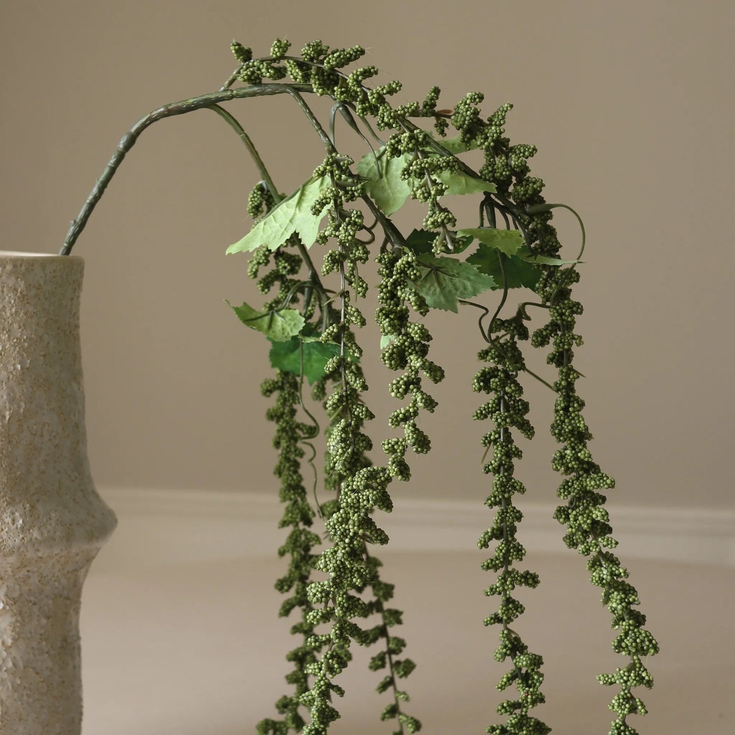 Green Amaranthus Emerald Tassels Flower fra Botane