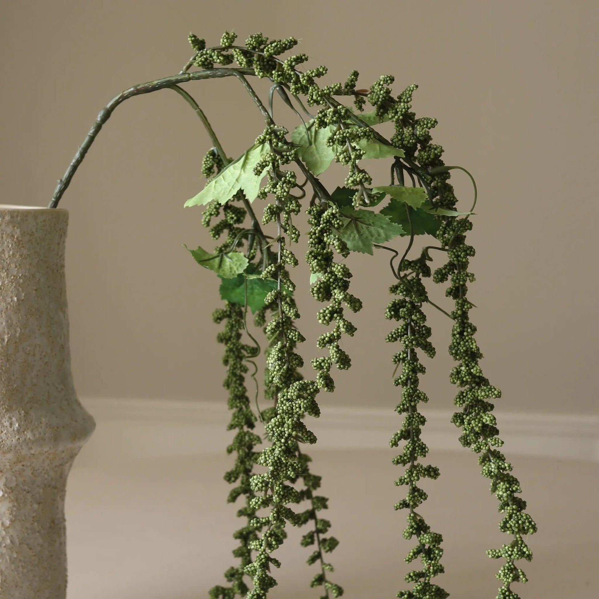 Green Amaranthus Emerald Tassels Flower