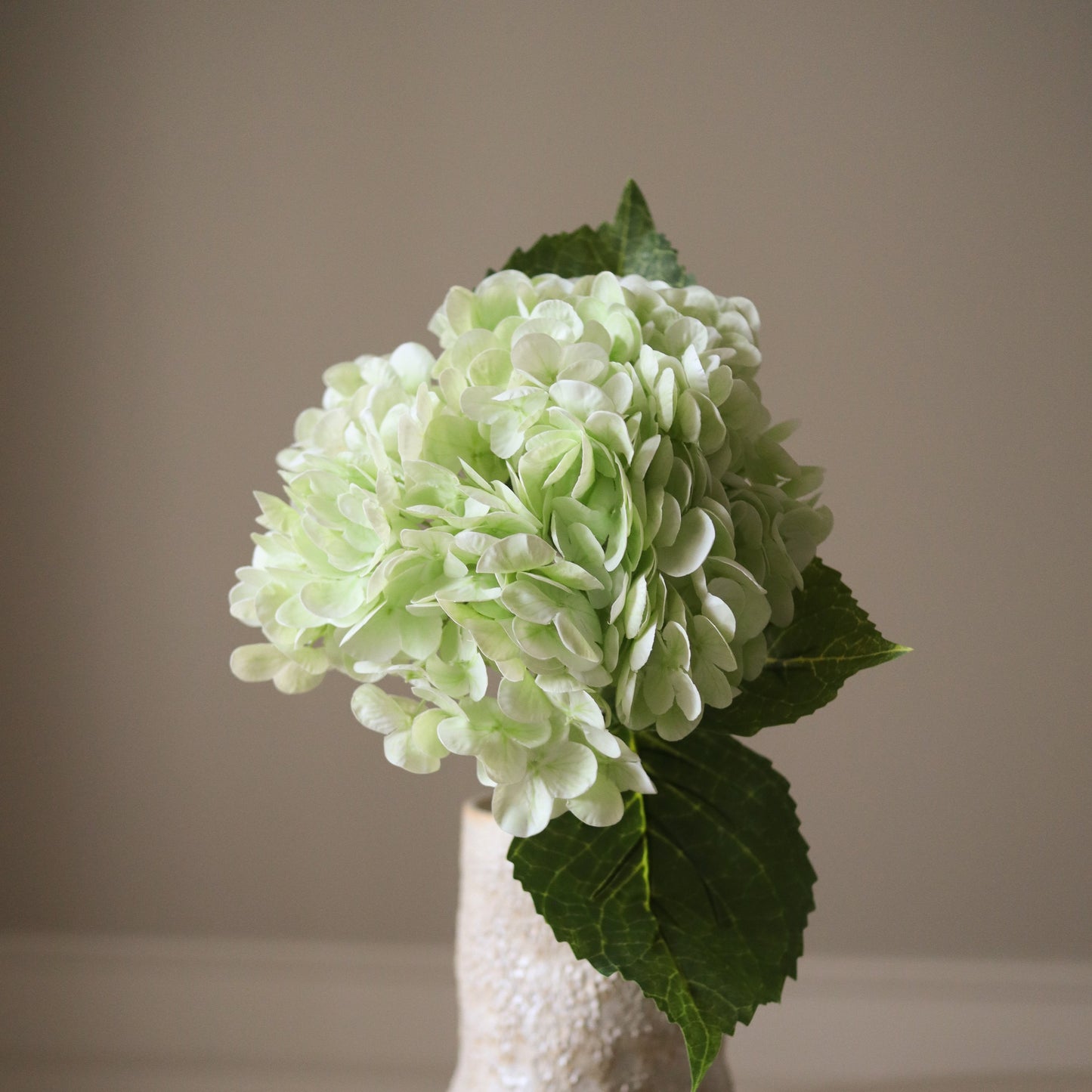 Hydrangea Flower – Lys grønn fra Botane