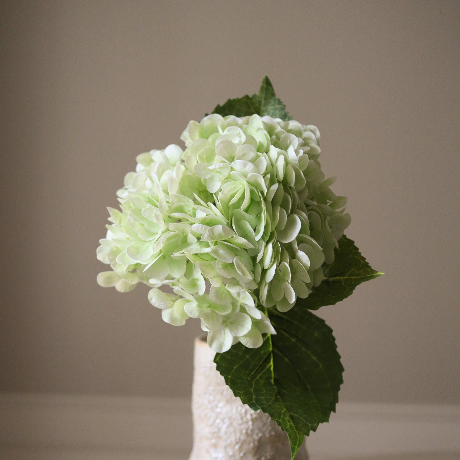 Hydrangea Flower – Lys grønn