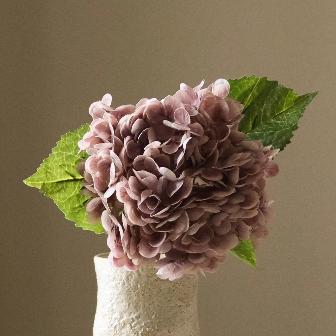Light Purple Hydrangea Flower