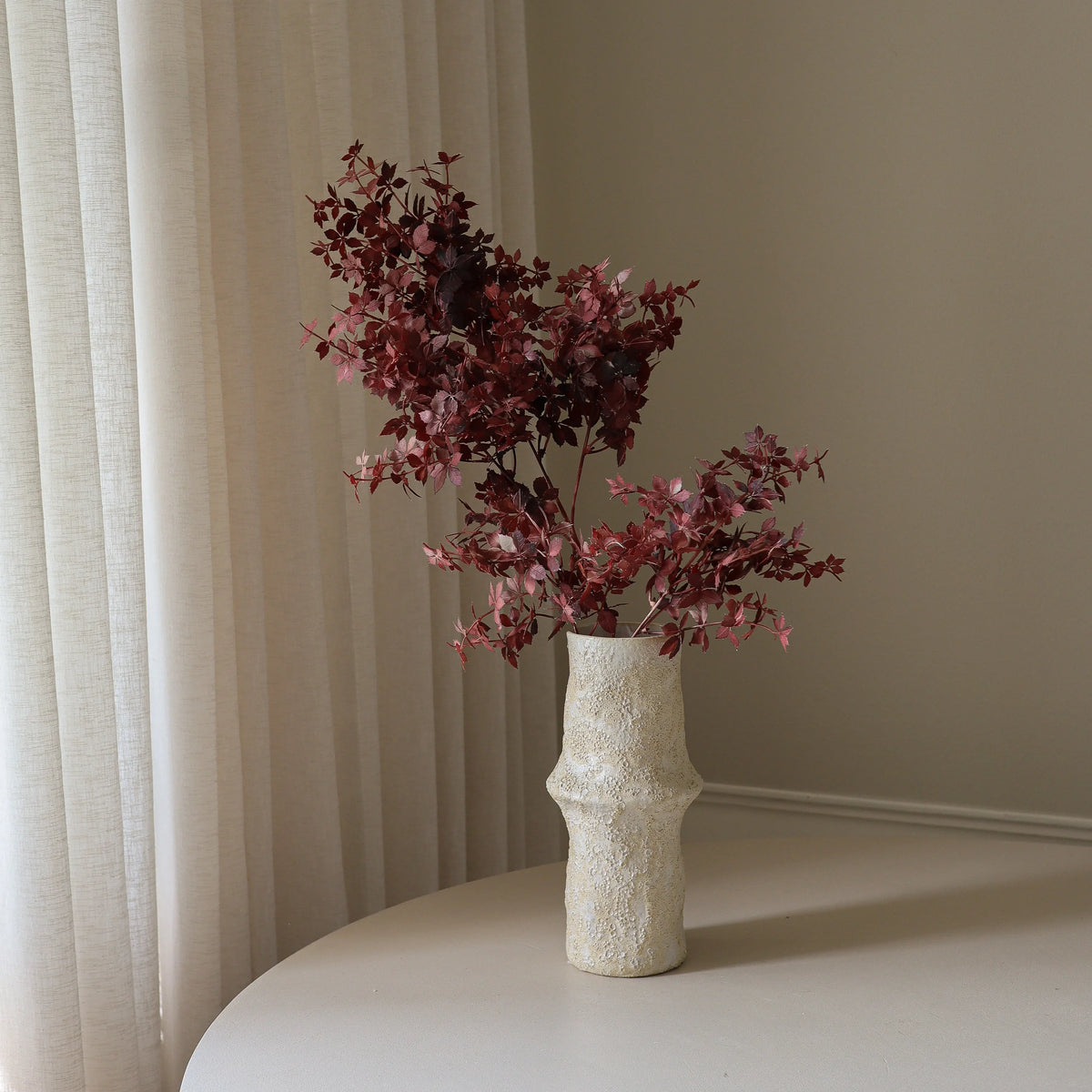 Burgundy Maple Branch fra Botane